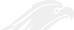 Logo Aguila